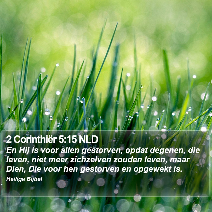 2 Corinthiër 5:15 NLD Bible Study