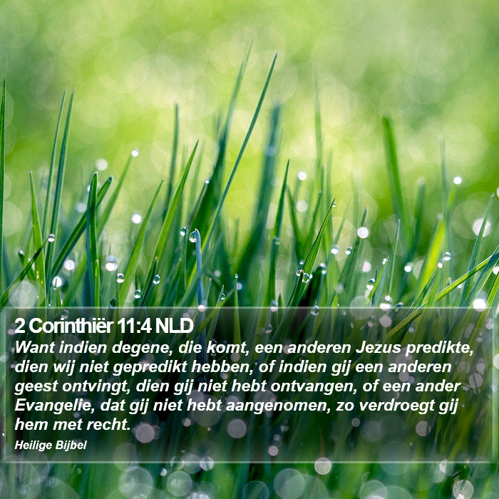 2 Corinthiër 11:4 NLD Bible Study
