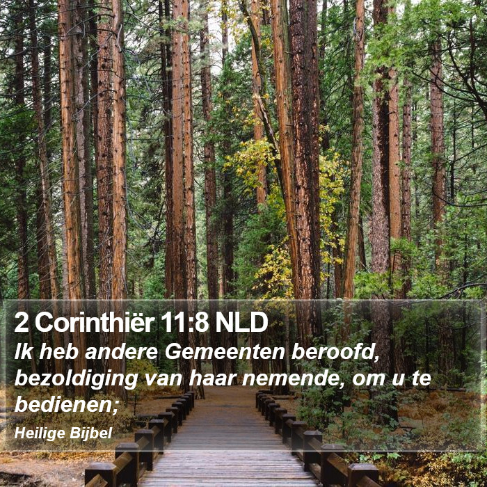 2 Corinthiër 11:8 NLD Bible Study