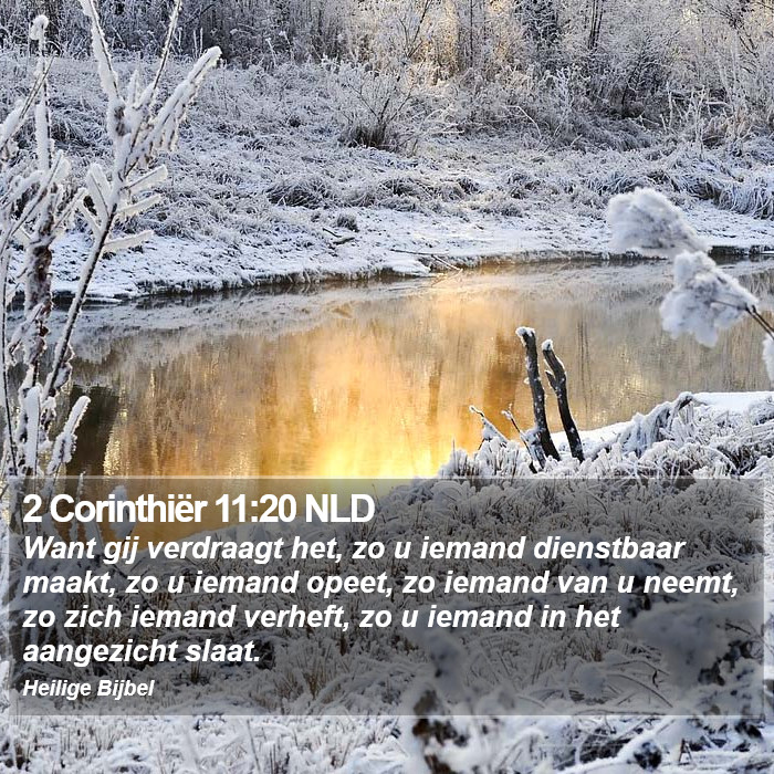 2 Corinthiër 11:20 NLD Bible Study