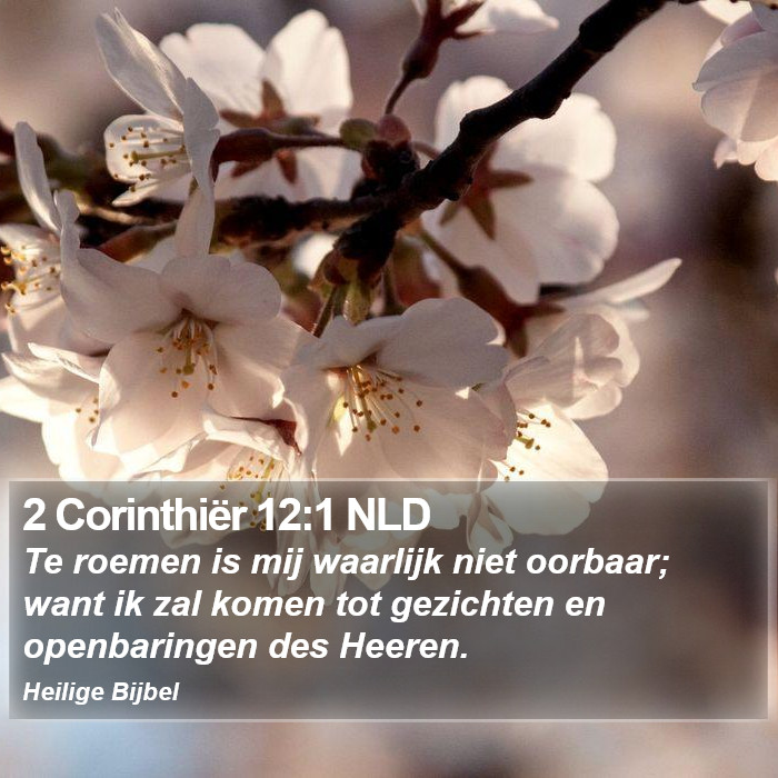 2 Corinthiër 12:1 NLD Bible Study