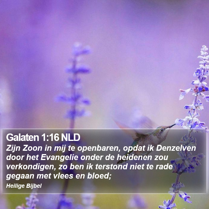 Galaten 1:16 NLD Bible Study