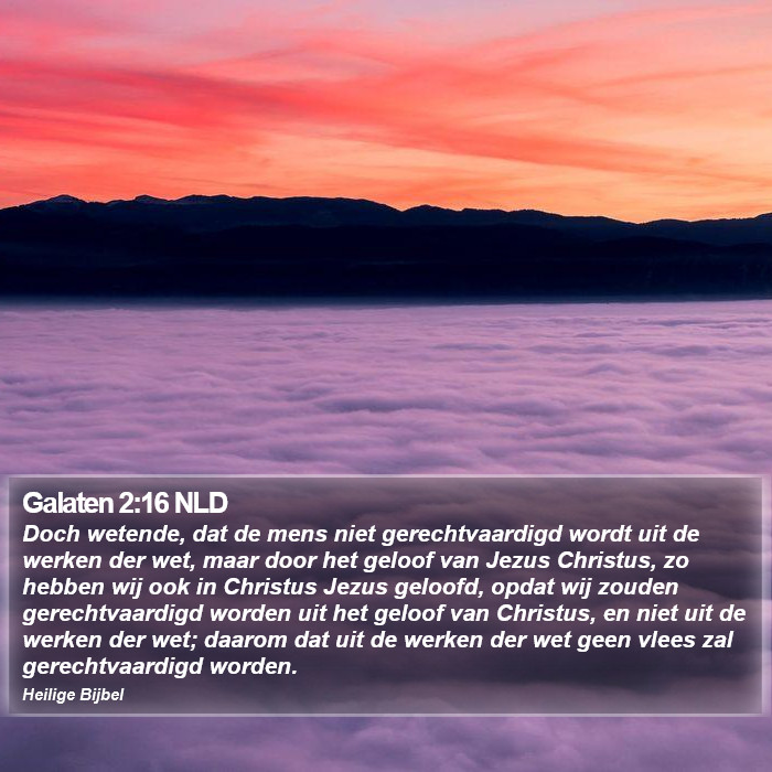Galaten 2:16 NLD Bible Study