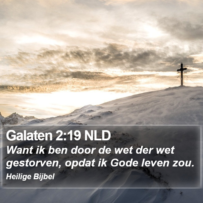 Galaten 2:19 NLD Bible Study