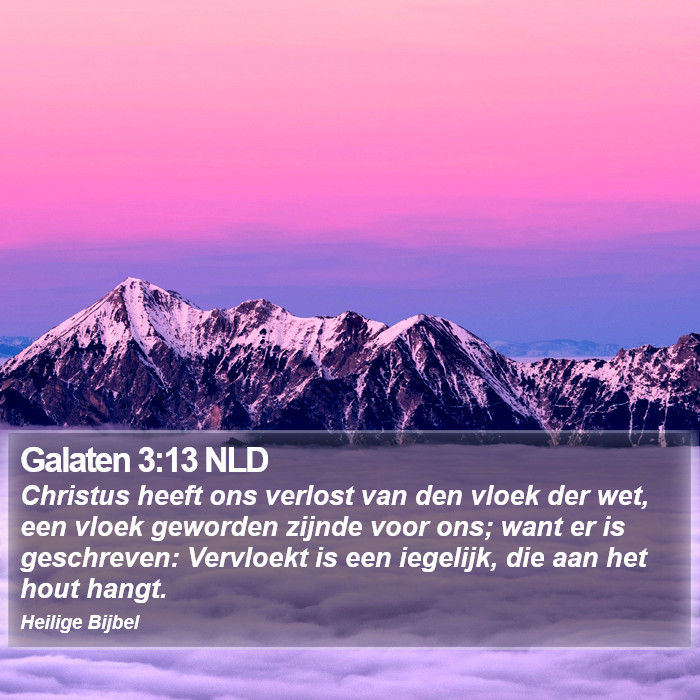 Galaten 3:13 NLD Bible Study