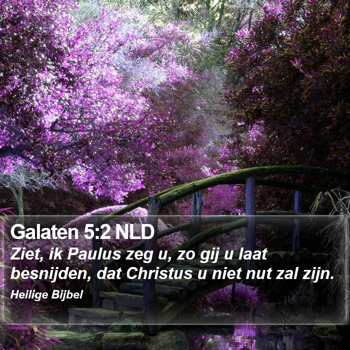 Galaten 5:2 NLD Bible Study