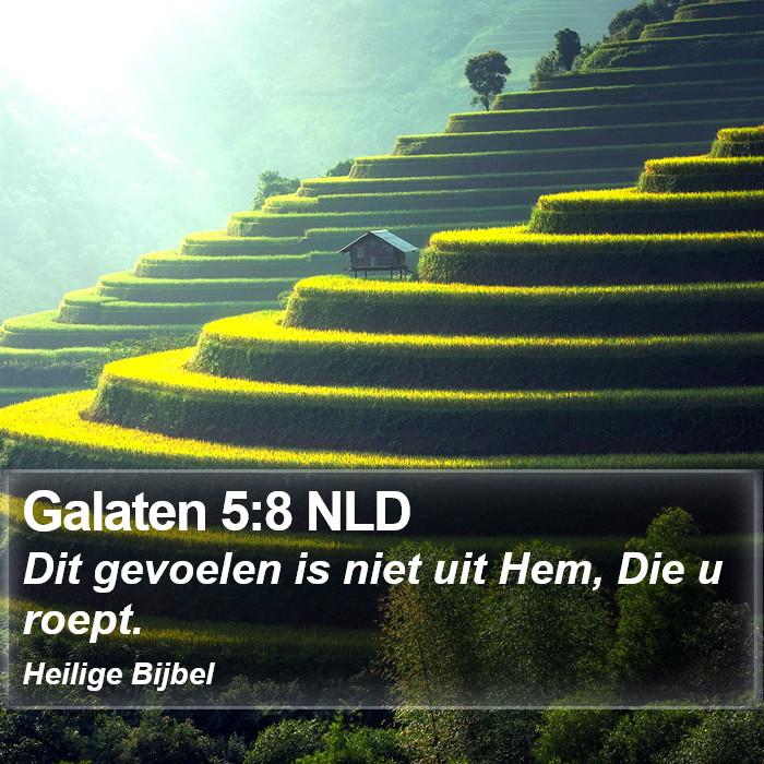 Galaten 5:8 NLD Bible Study