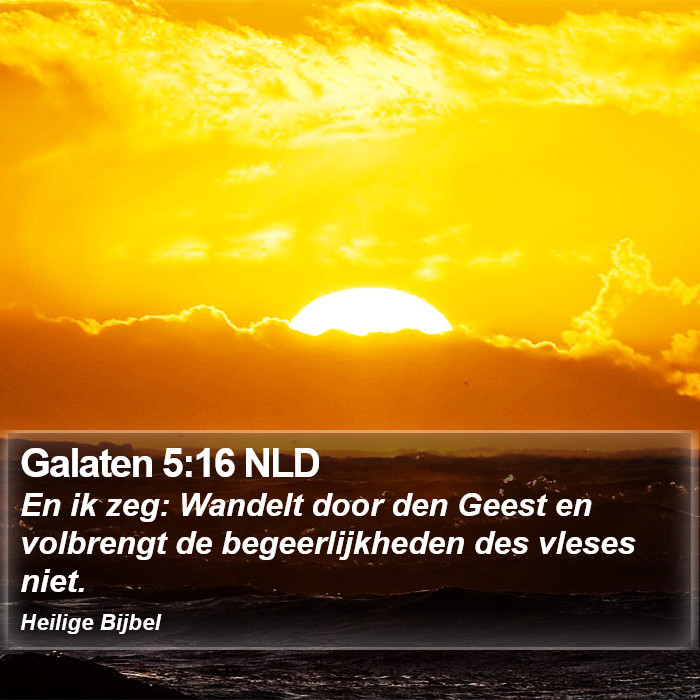 Galaten 5:16 NLD Bible Study