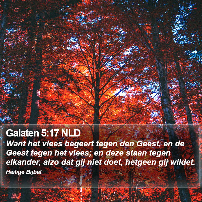 Galaten 5:17 NLD Bible Study