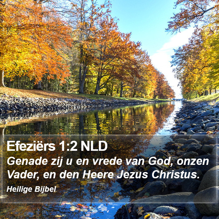 Efeziërs 1:2 NLD Bible Study