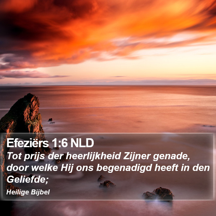 Efeziërs 1:6 NLD Bible Study