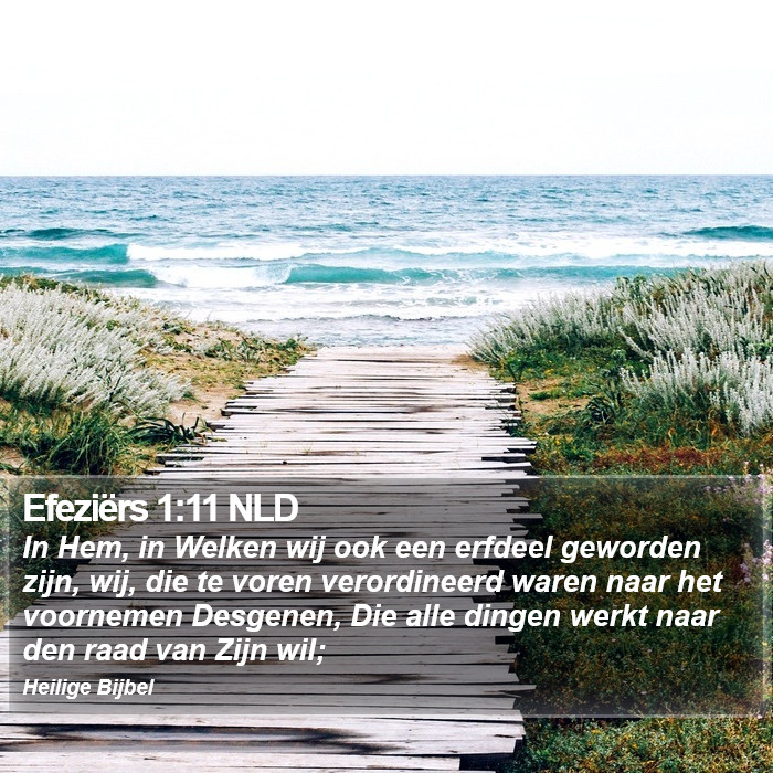 Efeziërs 1:11 NLD Bible Study