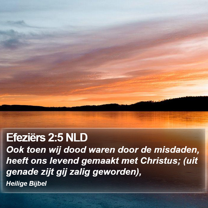 Efeziërs 2:5 NLD Bible Study