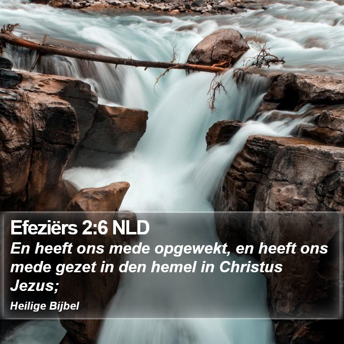 Efeziërs 2:6 NLD Bible Study