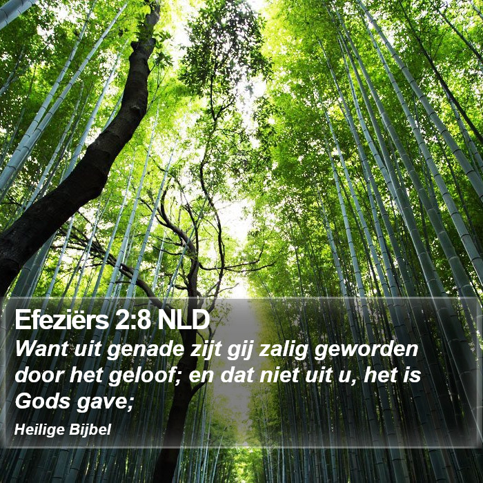 Efeziërs 2:8 NLD Bible Study