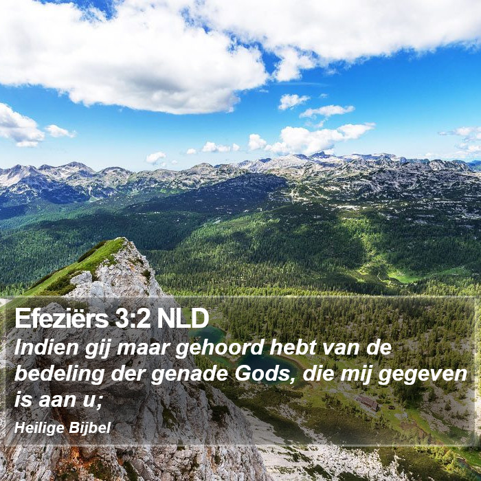 Efeziërs 3:2 NLD Bible Study