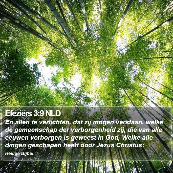 Efeziërs 3:9 NLD Bible Study