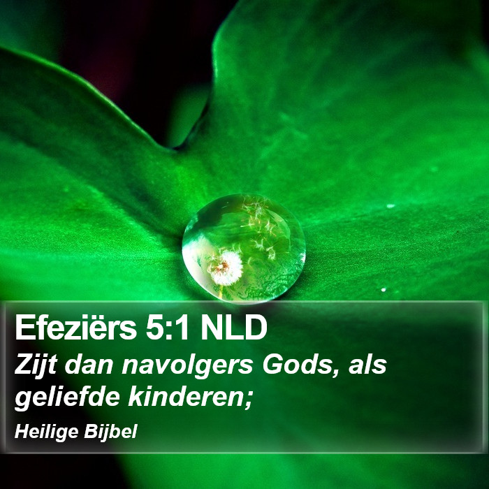 Efeziërs 5:1 NLD Bible Study