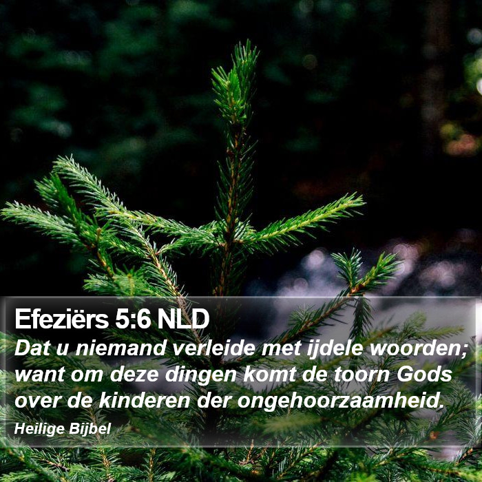 Efeziërs 5:6 NLD Bible Study