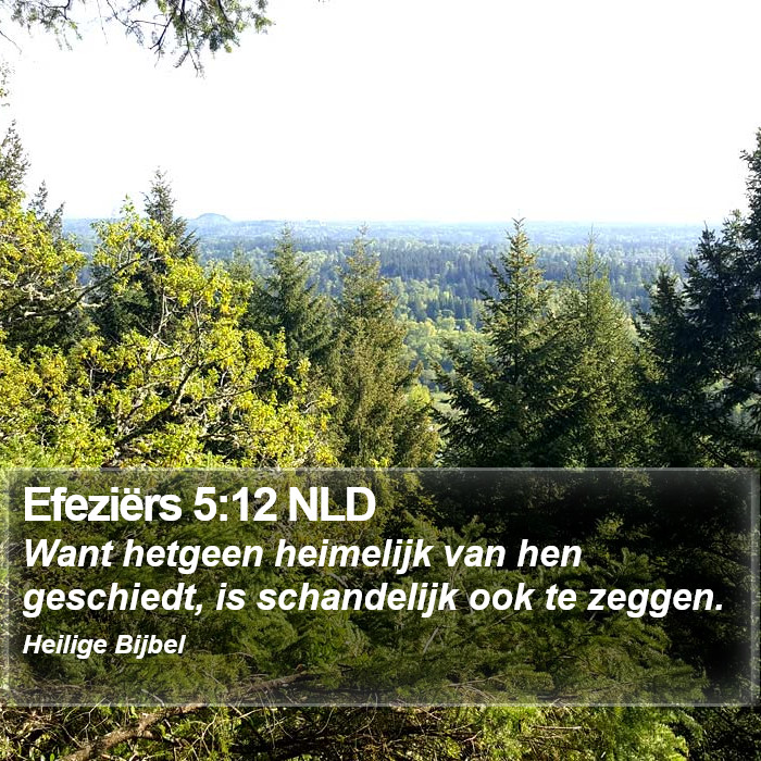 Efeziërs 5:12 NLD Bible Study