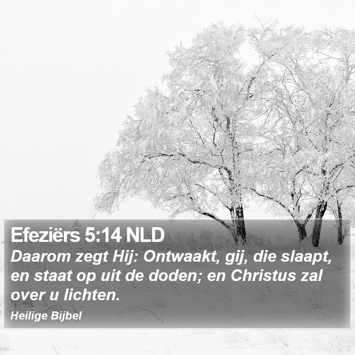 Efeziërs 5:14 NLD Bible Study