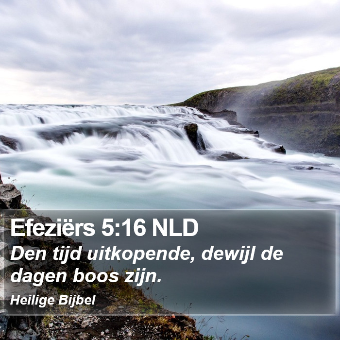 Efeziërs 5:16 NLD Bible Study