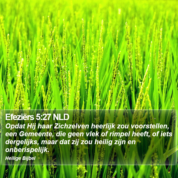 Efeziërs 5:27 NLD Bible Study