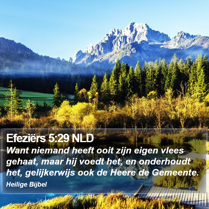 Efeziërs 5:29 NLD Bible Study