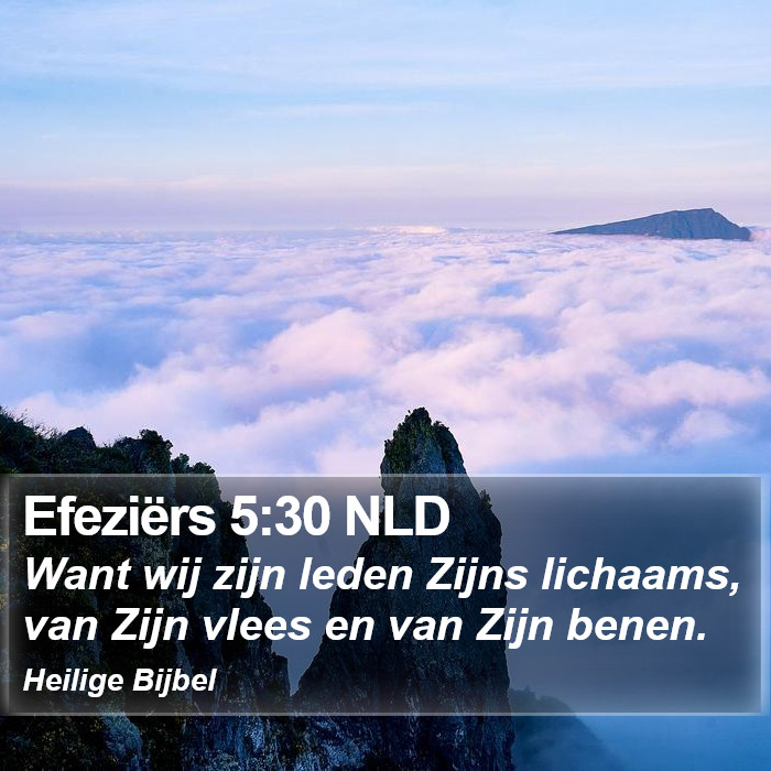 Efeziërs 5:30 NLD Bible Study