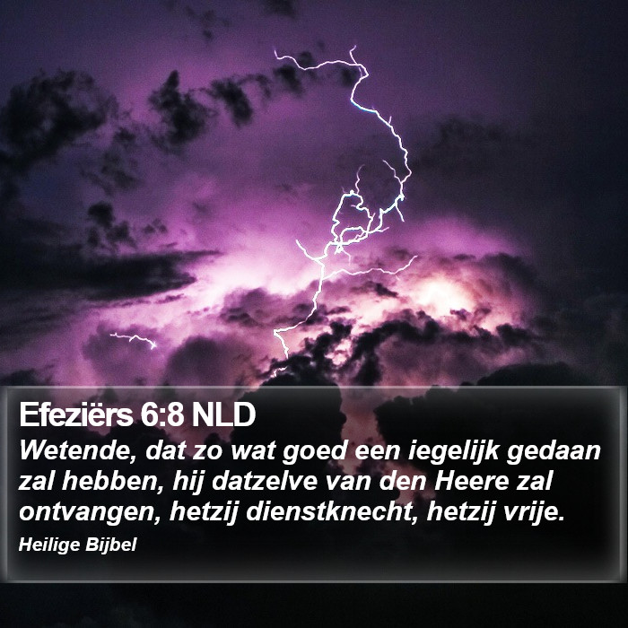 Efeziërs 6:8 NLD Bible Study