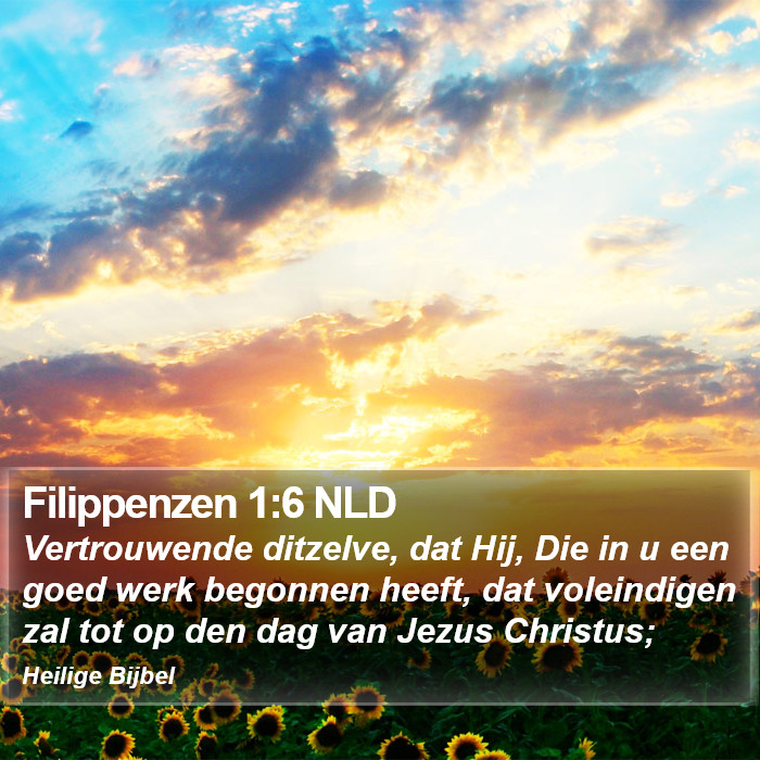 Filippenzen 1:6 NLD Bible Study