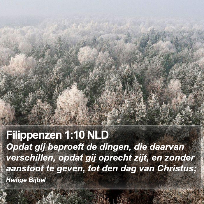 Filippenzen 1:10 NLD Bible Study