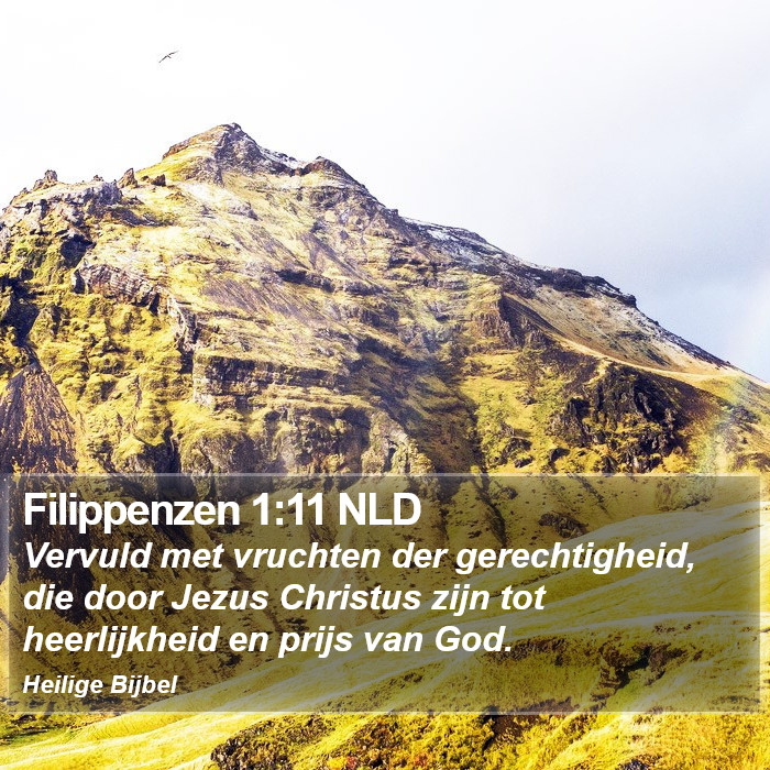 Filippenzen 1:11 NLD Bible Study