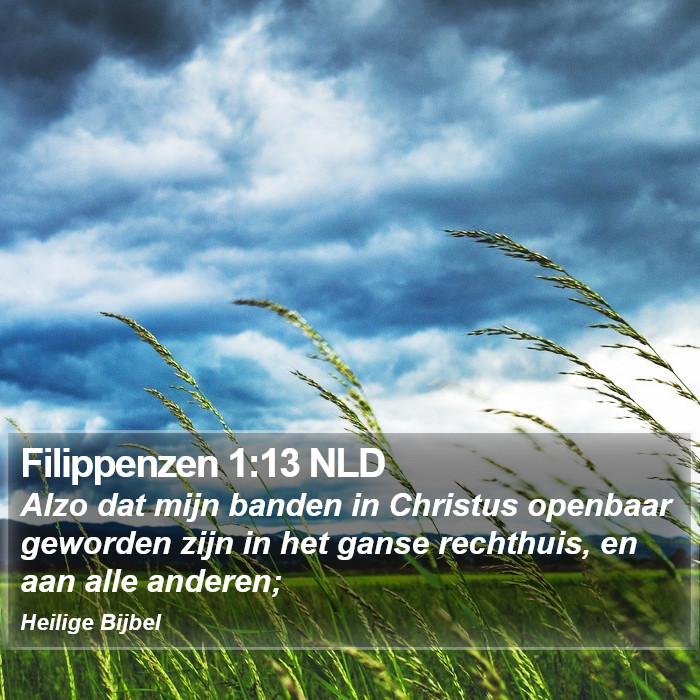 Filippenzen 1:13 NLD Bible Study