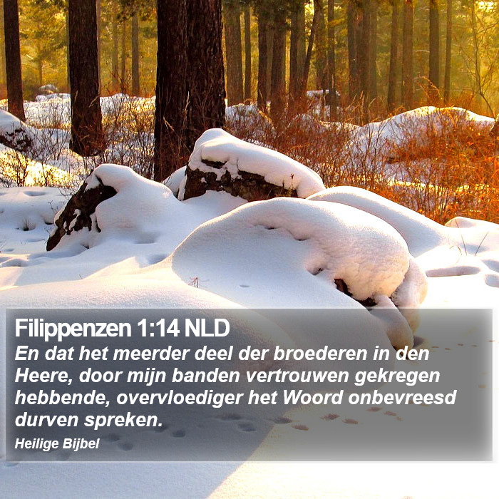 Filippenzen 1:14 NLD Bible Study