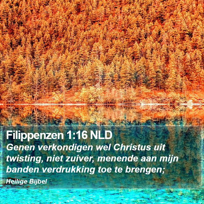 Filippenzen 1:16 NLD Bible Study