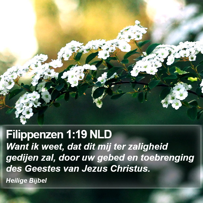 Filippenzen 1:19 NLD Bible Study