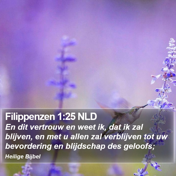 Filippenzen 1:25 NLD Bible Study