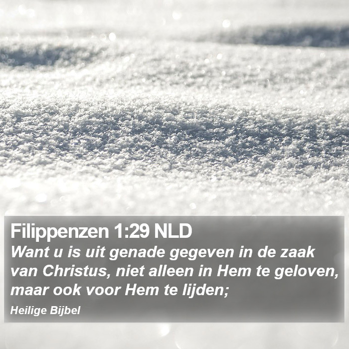 Filippenzen 1:29 NLD Bible Study