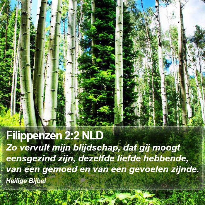 Filippenzen 2:2 NLD Bible Study