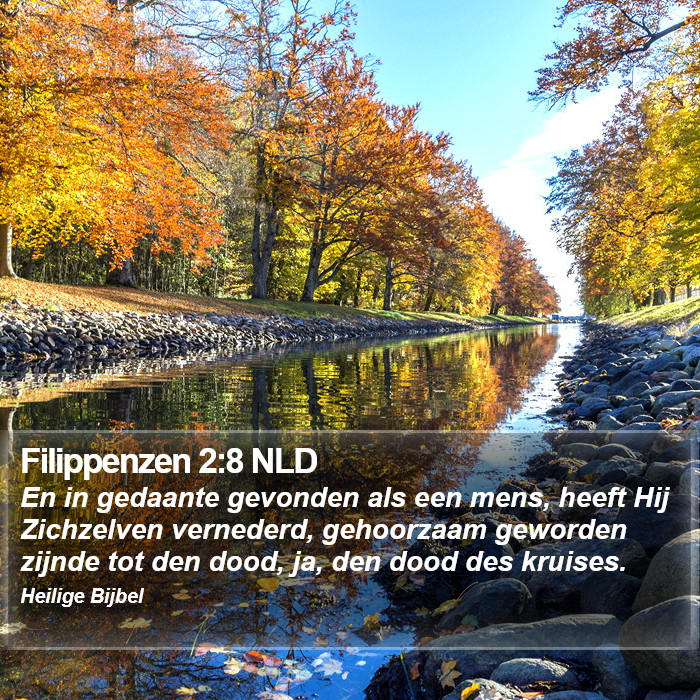 Filippenzen 2:8 NLD Bible Study