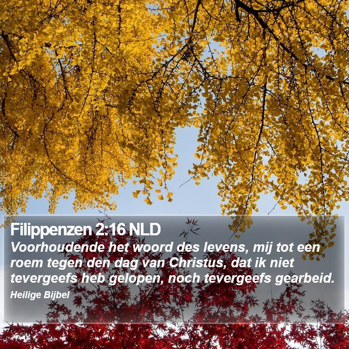 Filippenzen 2:16 NLD Bible Study