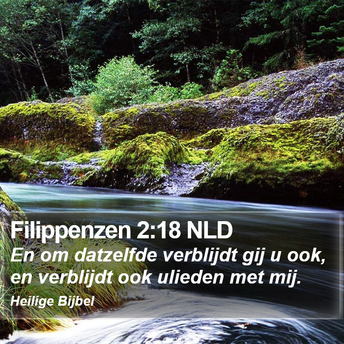 Filippenzen 2:18 NLD Bible Study