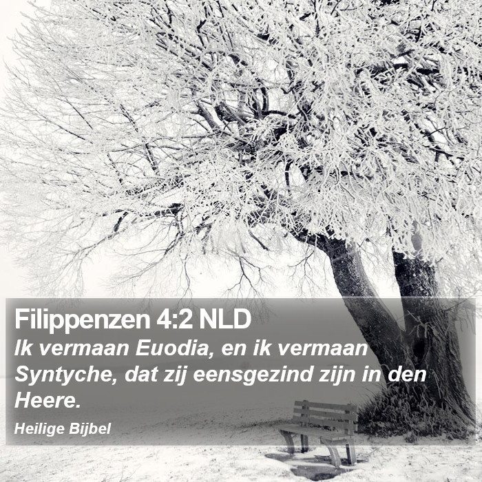 Filippenzen 4:2 NLD Bible Study