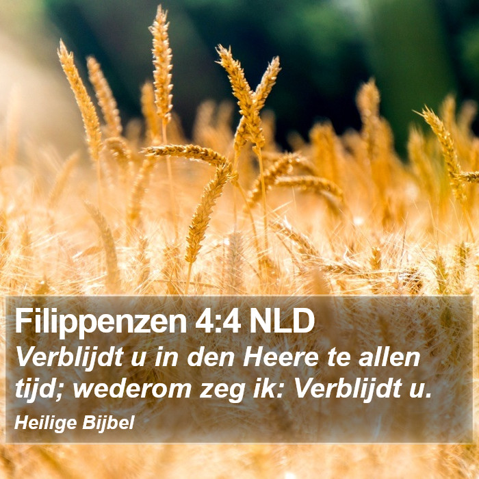 Filippenzen 4:4 NLD Bible Study