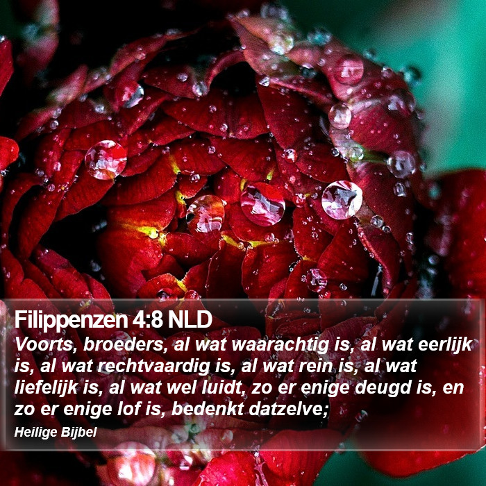 Filippenzen 4:8 NLD Bible Study