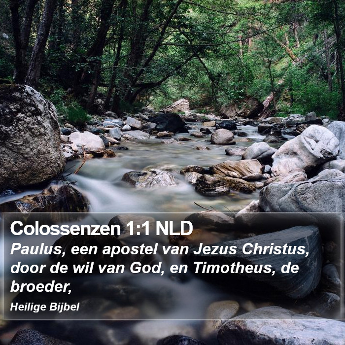 Colossenzen 1:1 NLD Bible Study