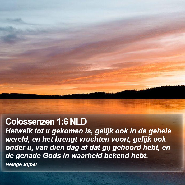 Colossenzen 1:6 NLD Bible Study