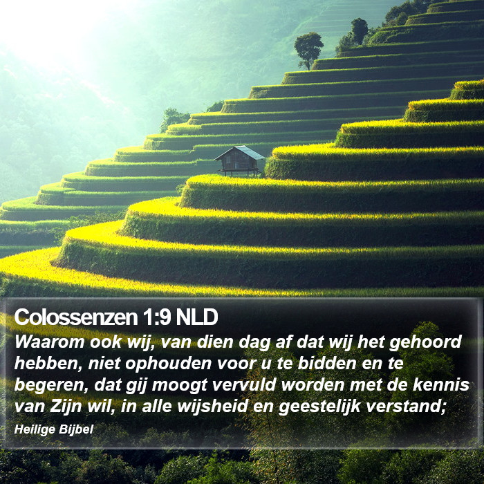 Colossenzen 1:9 NLD Bible Study