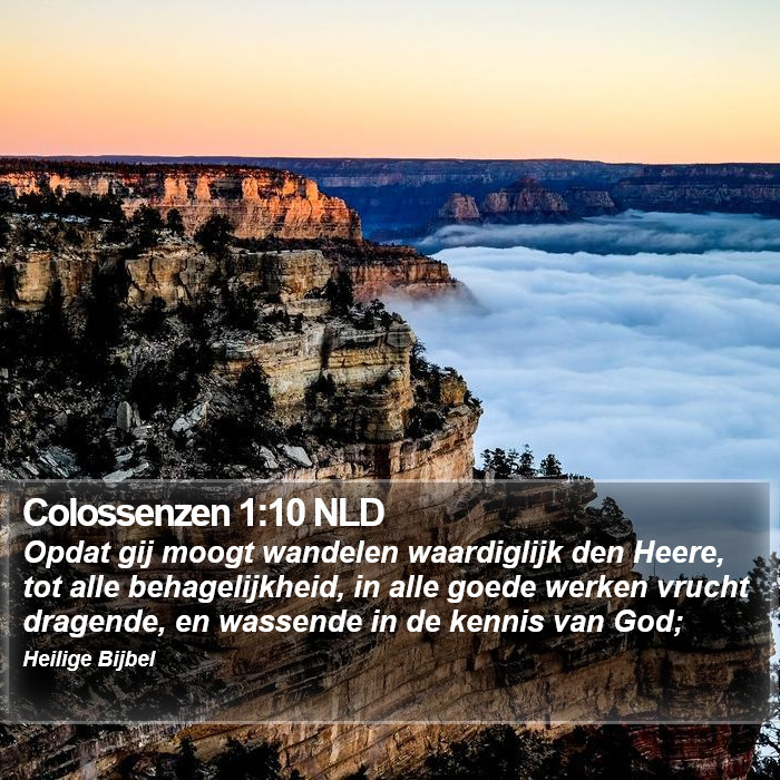 Colossenzen 1:10 NLD Bible Study